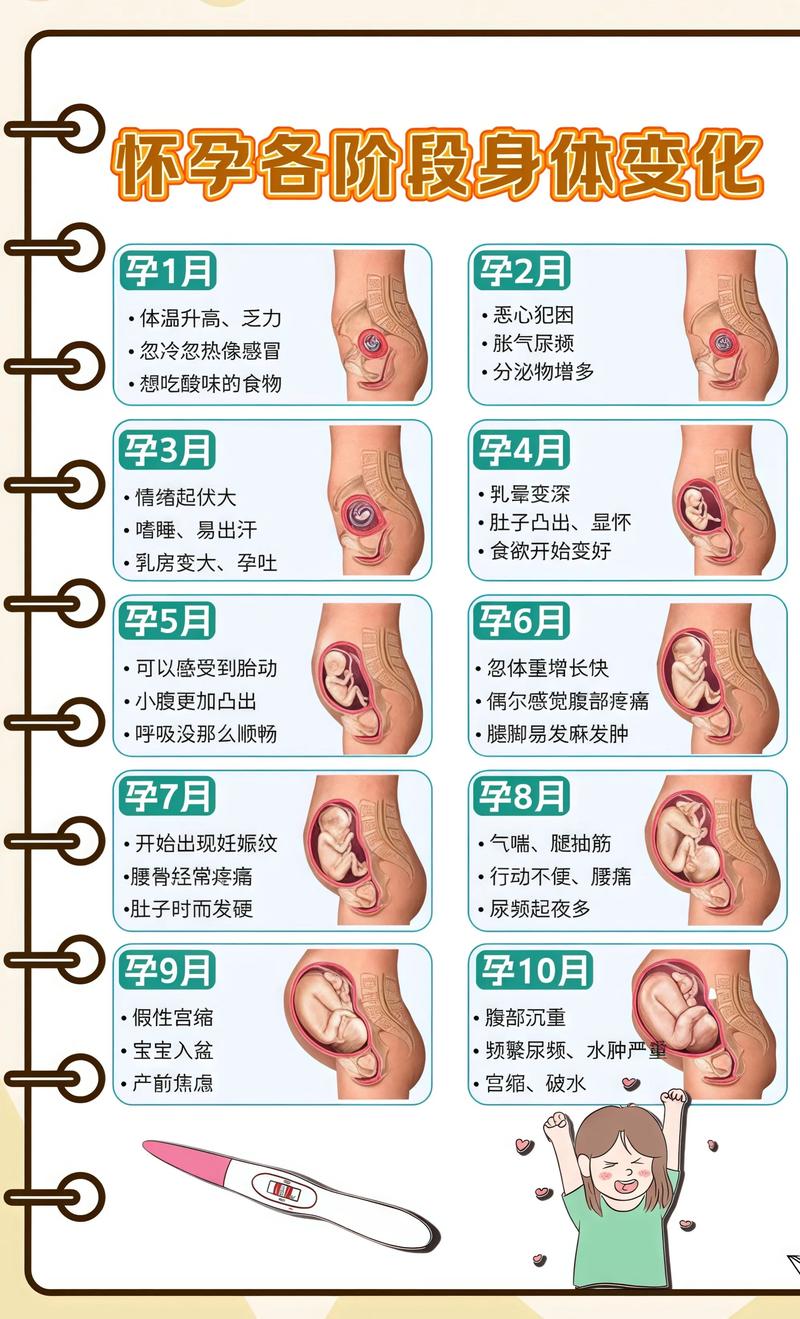 揭秘供卵代孕妈妈怀孕小腹分两节，孕期变化的奥秘萍乡代生机构: